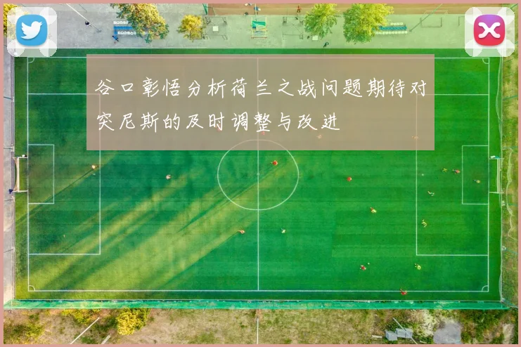 谷口彰悟分析荷兰之战问题期待对突尼斯的及时调整与改进