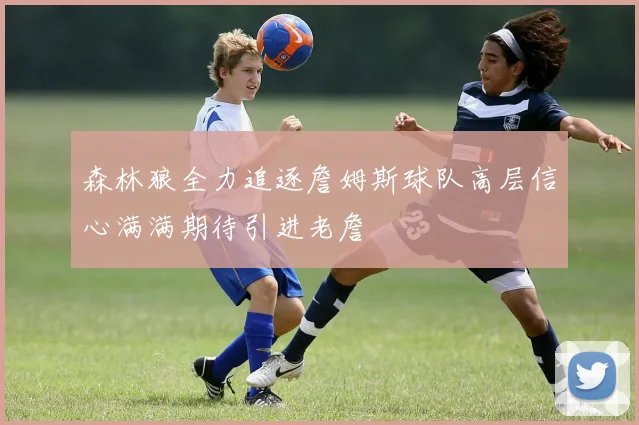 森林狼全力追逐詹姆斯球队高层信心满满期待引进老詹
