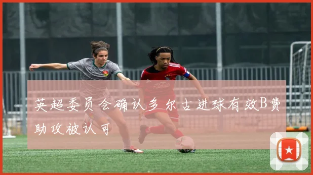 英超委员会确认多尔古进球有效B费助攻被认可