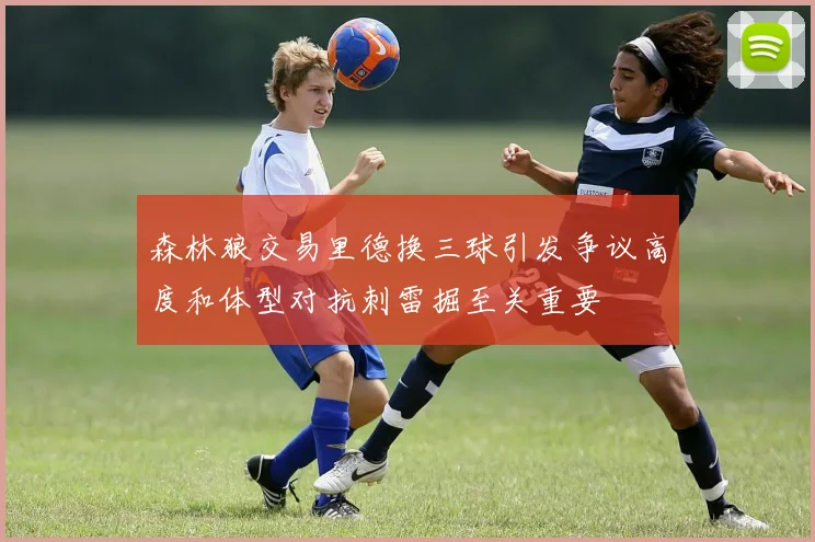 森林狼交易里德换三球引发争议高度和体型对抗刺雷掘至关重要